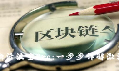 标题
如何激活波宝Pro：一步步详解激活流程