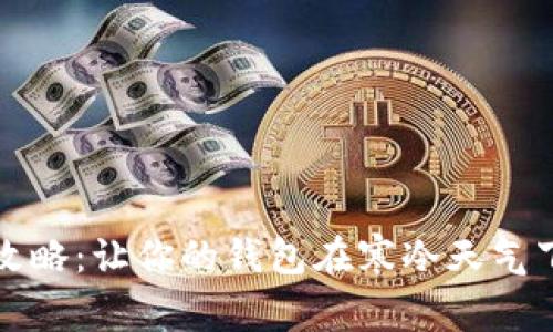 冬季省钱攻略：让你的钱包在寒冷天气下温暖起来
