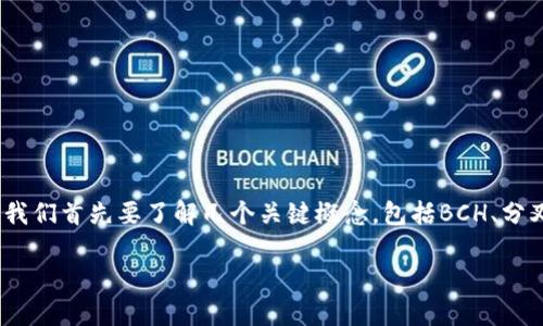 在讨论BCH（比特币现金）分叉及其与Tokenim的支持之前，我们首先要了解几个关键概念，包括BCH、分叉以及Tokenim的角色。以下是对您的请求的整体结构安排。

### Tokenim是否支持BCH分叉？深入解析