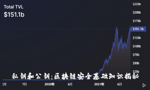 私钥和公钥：区块链安全基础知识揭秘
