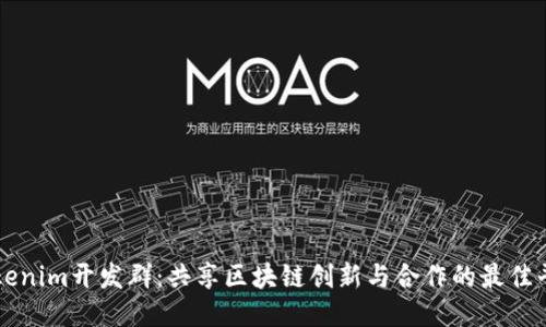 Tokenim开发群：共享区块链创新与合作的最佳平台