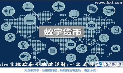 Tokenim主地址和子地址详解：一文看懂区块链地址结构
