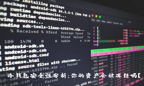  冷钱包安全性分析：你的资产会被冻结吗？