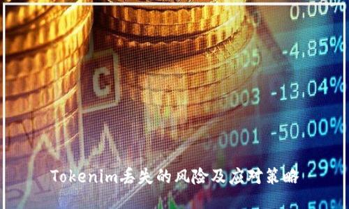 Tokenim丢失的风险及应对策略