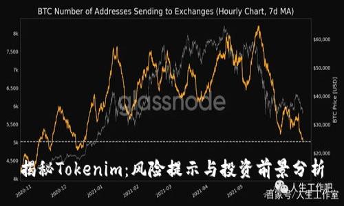 揭秘Tokenim：风险提示与投资前景分析