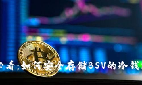 新手必看：如何安全存储BSV的冷钱包教程