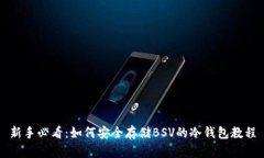 新手必看：如何安全存储BSV的冷钱包教程