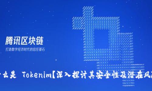 什么是 Tokenim？深入探讨其安全性及潜在风险