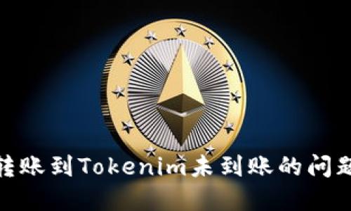 如何解决SHIB转账到Tokenim未到账的问题：一步一步指南