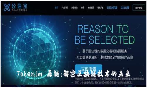 Tokenim 原链：解密区块链技术的未来