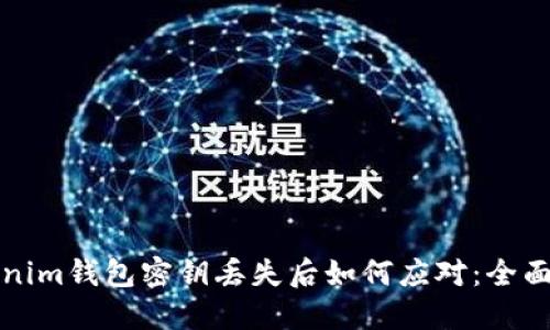 Tokenim钱包密钥丢失后如何应对：全面指南