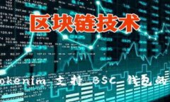 ### Tokenim 支持 BSC 钱包的全面解析