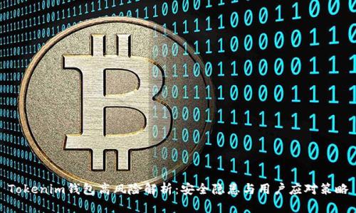 Tokenim钱包高风险解析：安全隐患与用户应对策略