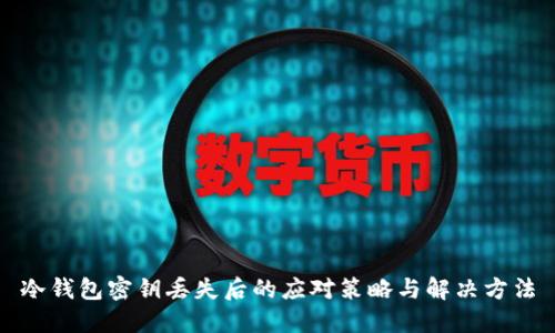 冷钱包密钥丢失后的应对策略与解决方法
