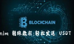 详解 Tokenim 转账教程：轻松发送 USDT 的终极指南