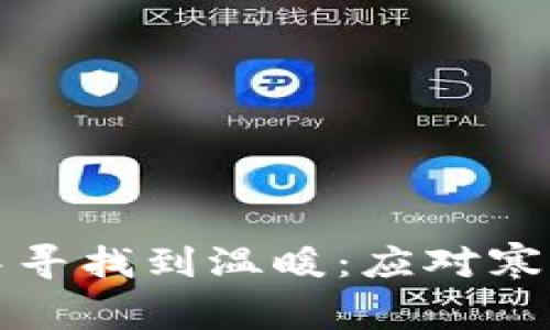 如何在经济逆境中寻找到温暖：应对寒冬的实用理财技巧