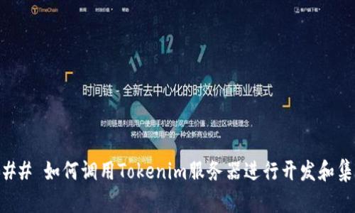 ### 如何调用Tokenim服务器进行开发和集成