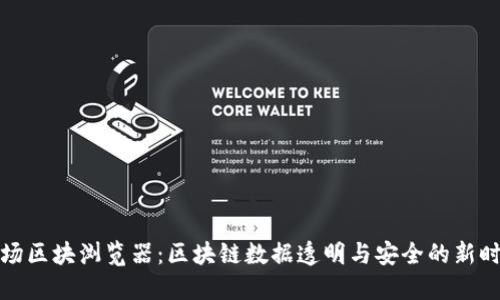 波场区块浏览器：区块链数据透明与安全的新时代