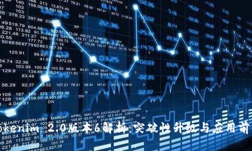 Tokenim 2.0版本6解析：突破性升级与应用前景