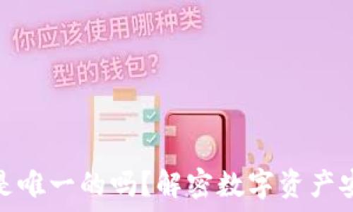   
钱包助记词是唯一的吗？解密数字资产安全的重要性