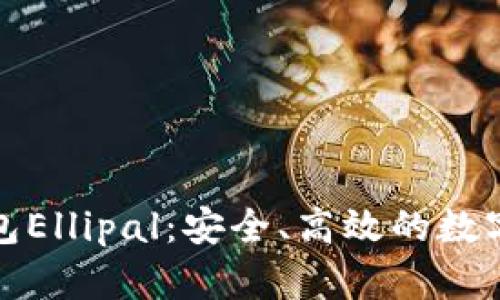 深入解析冷钱包Ellipal：安全、高效的数字货币存储选择