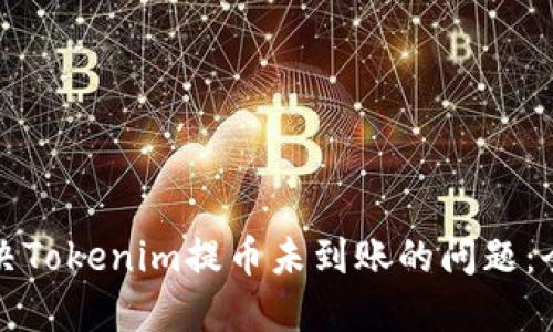 如何解决Tokenim提币未到账的问题：全面指南