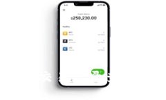 Tokenim链上收支交易记录查询：全面解析与指导