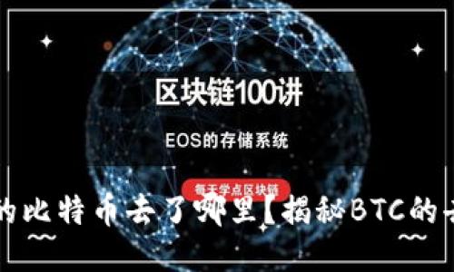 中本聪挖的比特币去了哪里？揭秘BTC的去向与价值