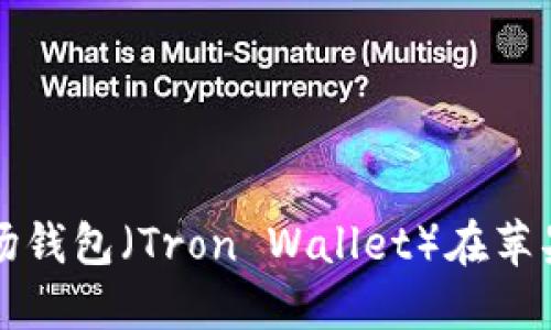 如何下载和使用波场钱包（Tron Wallet）在苹果设备上的详细指南