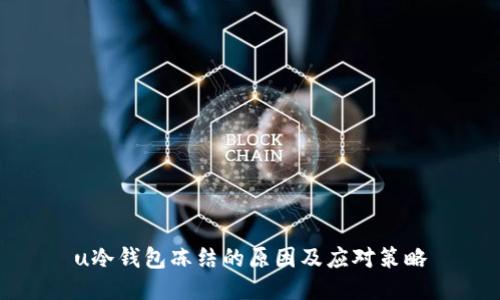 u冷钱包冻结的原因及应对策略