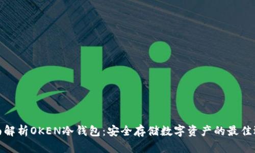 全面解析OKEN冷钱包：安全存储数字资产的最佳选择