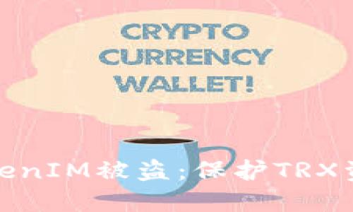 : 如何防止TokenIM被盗：保护TRX资产的最佳实践