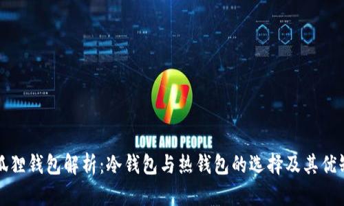 小狐狸钱包解析：冷钱包与热钱包的选择及其优缺点