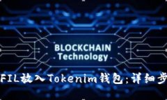 如何将FIL放入Tokenim钱包：详细步骤指南