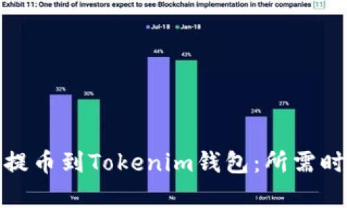 如何将Bitz币提币到Tokenim钱包：所需时间及步骤解析