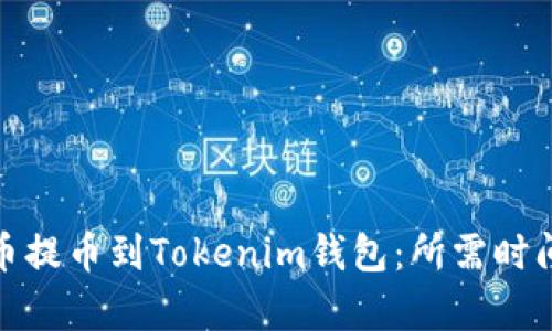 如何将Bitz币提币到Tokenim钱包：所需时间及步骤解析