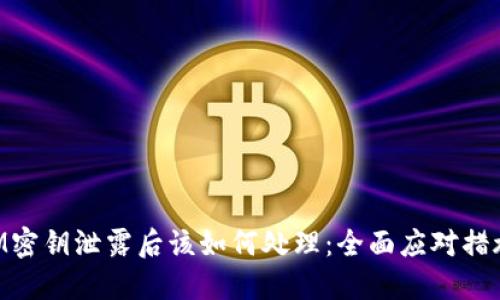 TokenIM密钥泄露后该如何处理：全面应对措施与指南