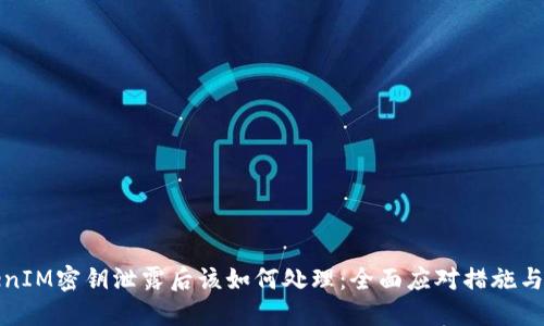 TokenIM密钥泄露后该如何处理：全面应对措施与指南