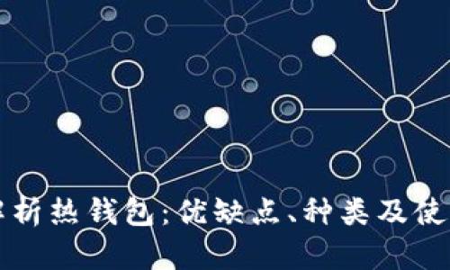 全面解析热钱包：优缺点、种类及使用指南