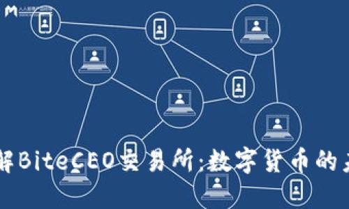 深入了解BiteCEO交易所：数字货币的未来平台