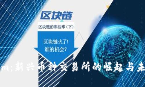 Tokenim：新兴币种交易所的崛起与未来展望