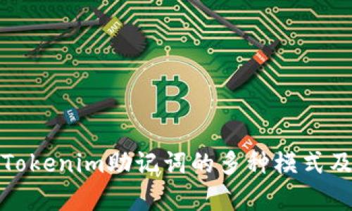 全面解析Tokenim助记词的多种模式及其安全性