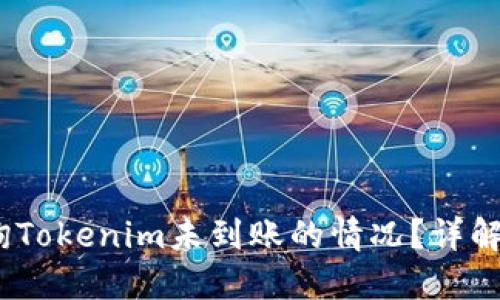 :如何查询Tokenim未到账的情况？详解解决方案