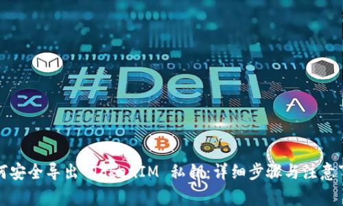 如何安全导出 TokenIM 私钥：详细步骤与注意事项