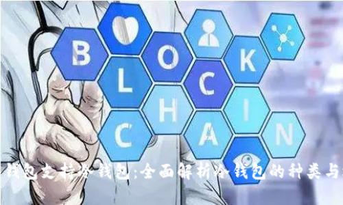 哪些钱包支持冷钱包：全面解析冷钱包的种类与选择