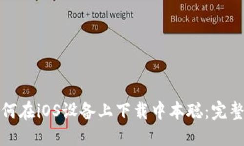 : 如何在iOS设备上下载中本聪：完整指南