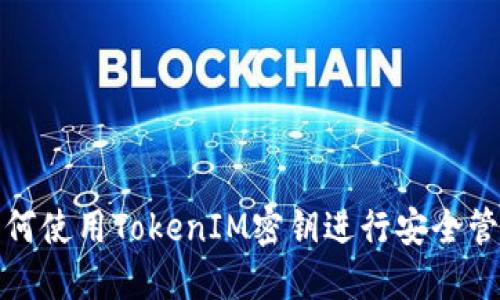 如何使用TokenIM密钥进行安全管理
