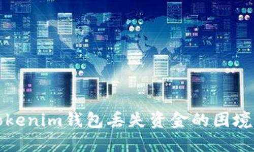 如何应对Tokenim钱包丢失资金的困境及解决方法