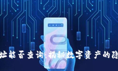 冷钱包地址能否查询：揭秘数字资产的隐私与安全