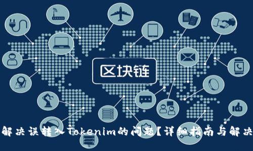 如何解决误转入Tokenim的问题？详细指南与解决方案